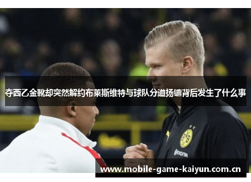 夺西乙金靴却突然解约布莱斯维特与球队分道扬镳背后发生了什么事 夺西乙金靴却突然解约布莱斯维特与球队分道扬镳背后发生了什么事