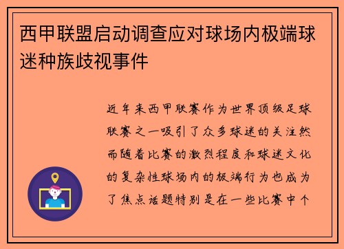 西甲联盟启动调查应对球场内极端球迷种族歧视事件